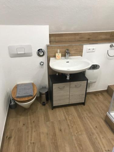 a bathroom with a sink and a toilet at Ferienwohnung am Bodensee in Kressbronn am Bodensee