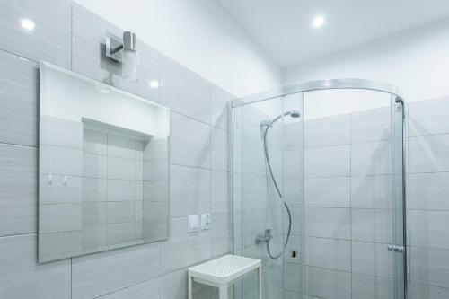 uma casa de banho com um chuveiro e uma porta de vidro em Willa Parkowa em Rymanów-Zdrój