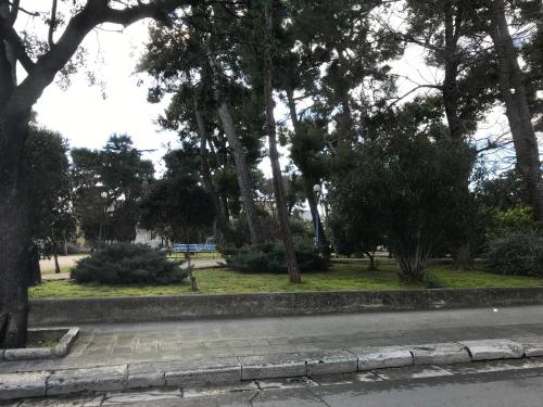 a street with a park with trees and a road at casa nonna Fiora in Fasano