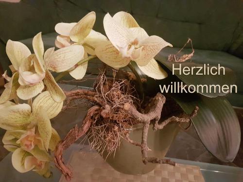 ロストックにあるFerienwohnung am Stadthafen _ Objeの鉢植え白花