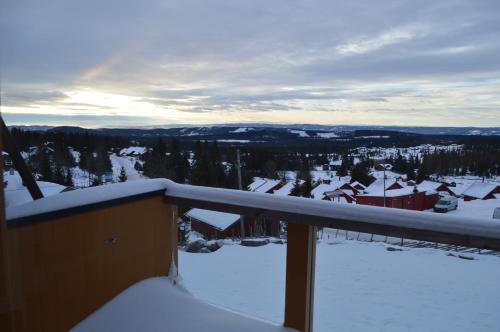 Nordseter Fjellpark, Sentrum en invierno