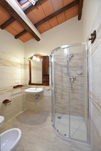 a bathroom with a shower and a sink at Villa Bolgherello in Marina di Bibbona