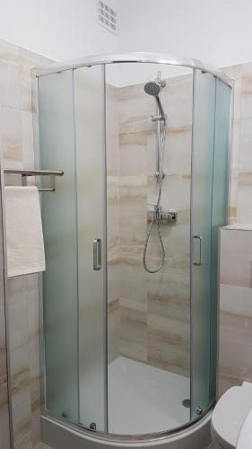 La salle de bains est pourvue d'une douche avec une porte en verre. dans l'établissement Hotel Śnieżnik, à Kłodzko