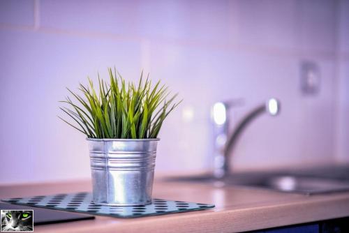 a plant in a metal pot on a kitchen counter at Appartement Spacieux Schiltigheim in Schiltigheim