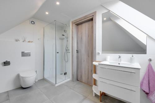 La salle de bains est pourvue d'une douche, d'un lavabo et de toilettes. dans l'établissement Apartament Sopocki Kasztanowy, à Sopot