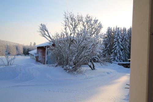 a house covered in snow next to a tree at Maatilamatkailu Jänisvaara in Kolinkylä
