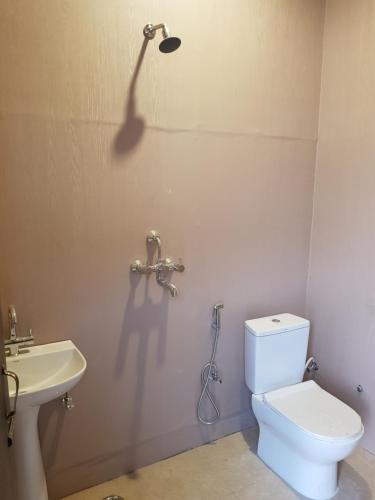 a bathroom with a toilet and a sink at Living Green Farms in Allahābād