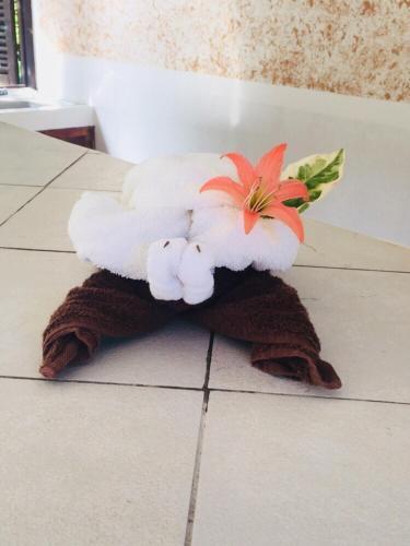 a stuffed bird on a towel with a flower on the floor at Chalets de Palma in La Digue