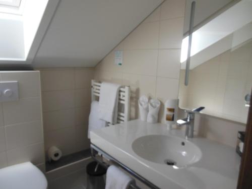 a bathroom with a sink and a mirror at Hotel & Restaurant Zum Ochsen -Ox Distillery in Hösbach