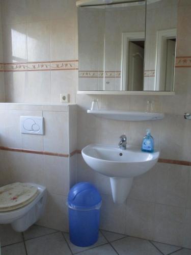 a bathroom with a sink and a toilet and a mirror at Behrs Hof in Scharmbeck