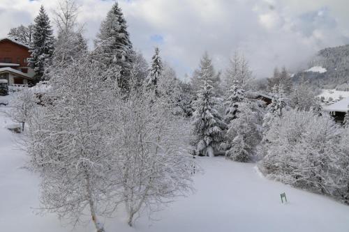 a snow covered forest with trees and a house at La Résidence de L'Ours in Megève