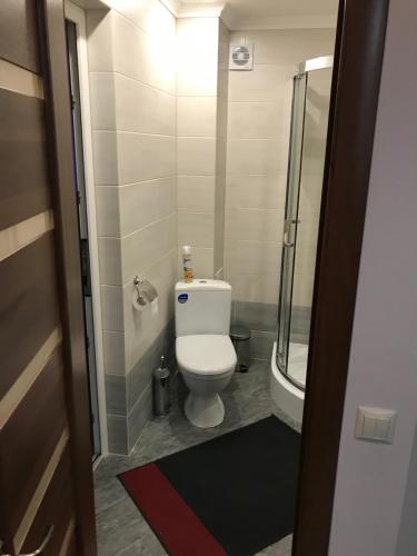 a small bathroom with a toilet and a shower at Red Stone in Truskavets