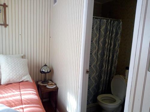 a bathroom with a bed and a toilet in a room at lotus shared-house in Puerto Montt