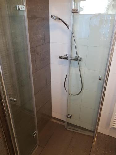 a shower with a glass door in a bathroom at Ferienhaus: "Casa de Summer" in Birkenfelde