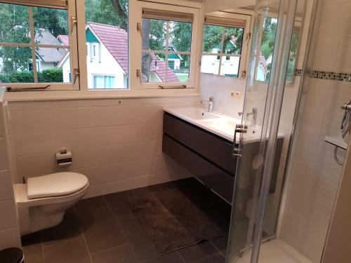 a bathroom with a toilet and a sink and a shower at Salland Vakantie in Heeten