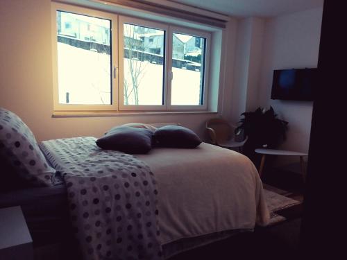 - une chambre avec un lit doté d'oreillers et d'une fenêtre dans l'établissement WELCOME B&B, à Waimes