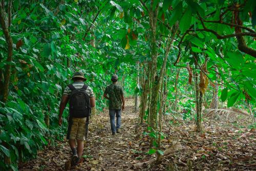 two men walking down a trail in the jungle at Mistletoe Homestay & Cafe in Munnar