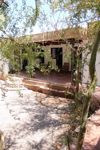 an outdoor area with benches and trees at Anka Hostel in San Pedro de Atacama