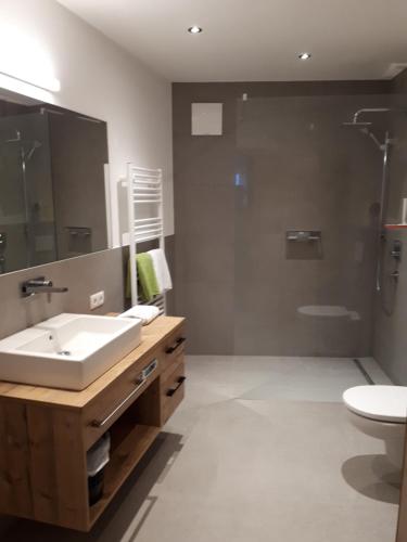 a bathroom with a sink and a shower and a toilet at Haus Alpenblick in Ladis