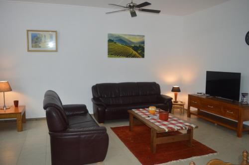 a living room with a leather couch and a tv at Sun Villa in Pereybere