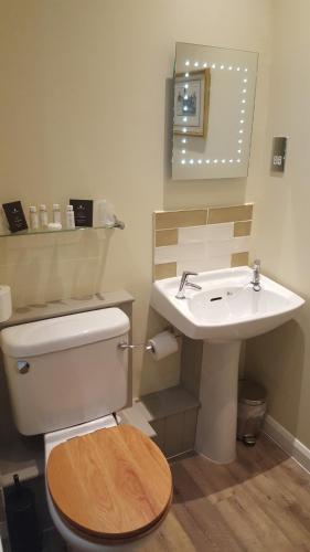 a bathroom with a toilet and a sink at Norfolk Arms Hotel in Arundel