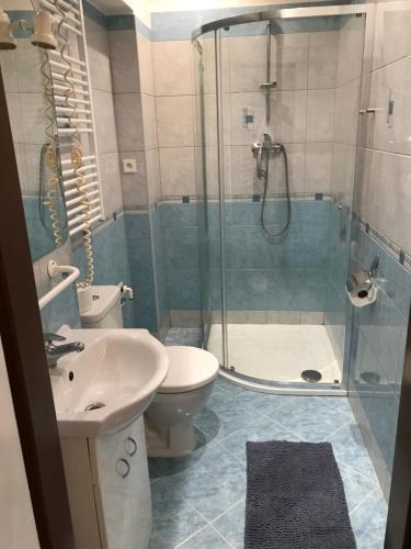 ein Bad mit einer Dusche, einem WC und einem Waschbecken in der Unterkunft Ski & bike apartmány in Svoboda nad Úpou