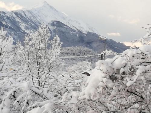 a mountain covered in snow with trees in the foreground at Cascina La Commenda in Peveragno