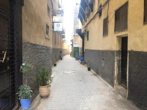 an alley with potted plants on the sides of buildings at Le Grand Alcazar - Riad in Fès