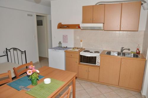 Gallery image of Handakas Studios in Andros