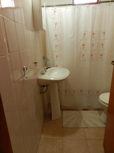 ein Bad mit einem Waschbecken und einem WC in der Unterkunft Hostel Ctalamochita in Embalse