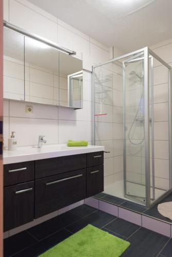a bathroom with a shower and a sink and a glass shower stall at Apartement 1 Große Brüdergasse in Bautzen