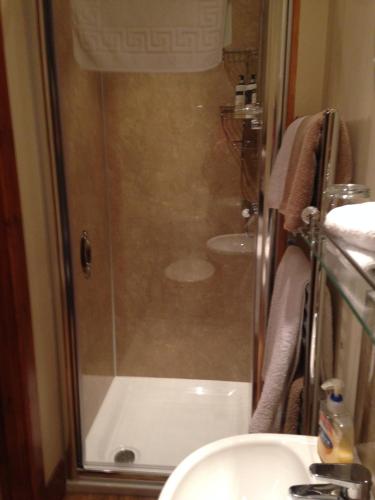 a bathroom with a shower and a sink and a toilet at The Woolly Rock in North Ballachulish