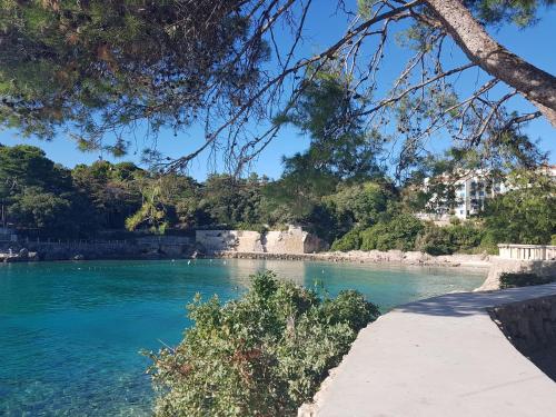 a view of a river with trees and a beach at Apartman"Petra" in Krk