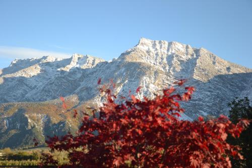 a red tree with mountains in the background at Al Brenta in Levico Terme