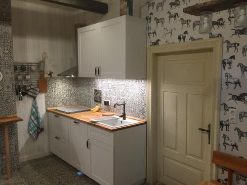 cocina con armarios blancos, fregadero y puerta en Hof Larina en Schleswig