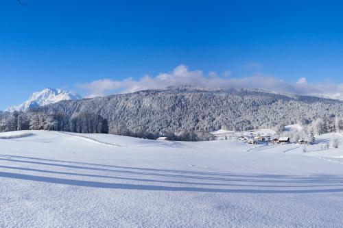 a snowy field with a mountain in the background at Pension Elvira in Bischofswiesen