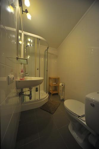 a bathroom with a sink and a toilet at Old town center apartments on the Romantic Road in Harburg