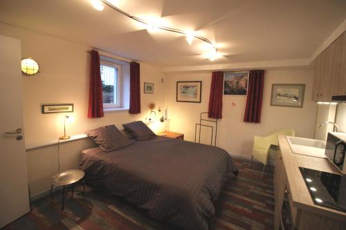 a bedroom with a bed and a desk and a sink at Confort et calme à Colmar in Colmar