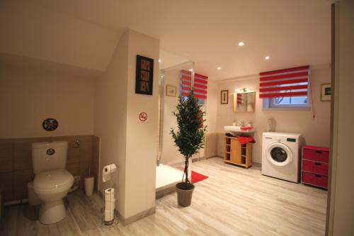 a bathroom with a toilet and a washing machine at Confort et calme à Colmar in Colmar