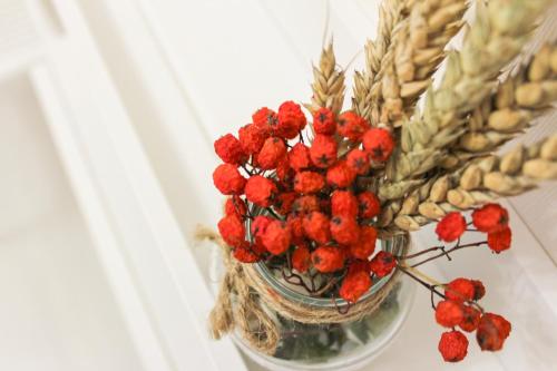 a vase with red flowers and wheat grains at Scandi Hotel in Makīnsk