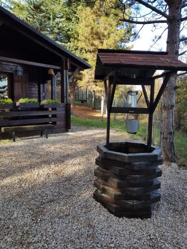 Κήπος έξω από το Baita Nel Bosco