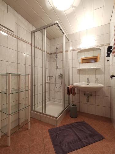 a bathroom with a shower and a sink at Ferienhof Haindlbauer in Kirchberg in Tirol