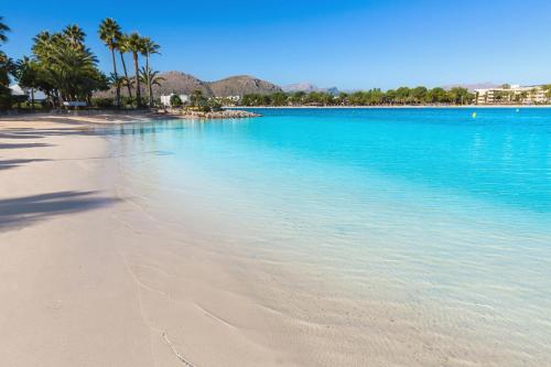 a beach with palm trees and blue water at Blu Hostal Diana in Port d'Alcudia