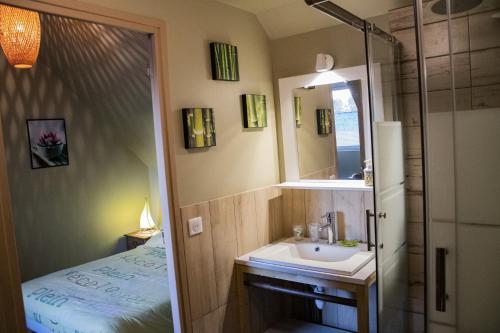 un piccolo bagno con lavandino e doccia di Chambres d'hôtes entre Arras et Albert - Bed and Breakfast a Souastre