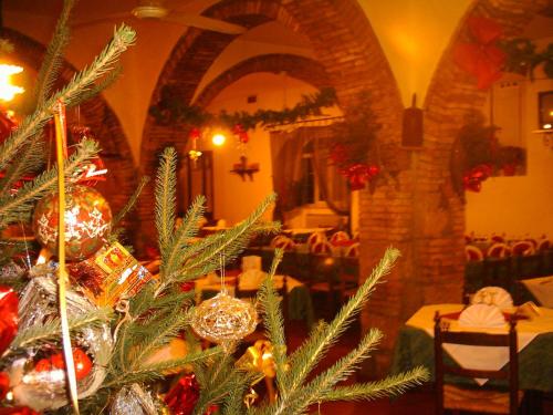 Εστιατόριο ή άλλο μέρος για φαγητό στο Hotel Il Malandrone