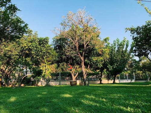 a park with green grass and trees and a fence at RiverTree House in Nong Khai
