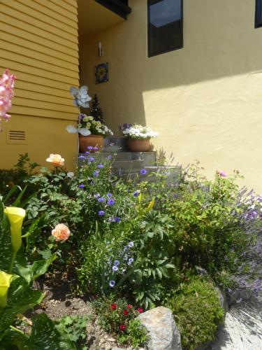 a garden of flowers in front of a house at Hazelwood Mapua in Mapua
