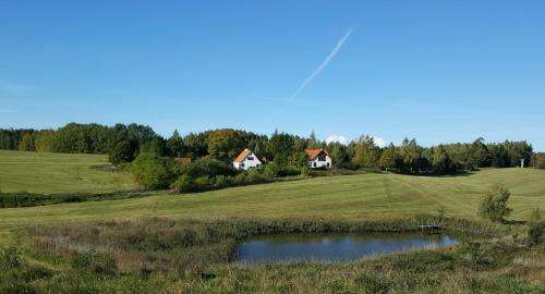 a house in the middle of a field with a pond at Wyskok 1 - dom z widokiem in Srokowo