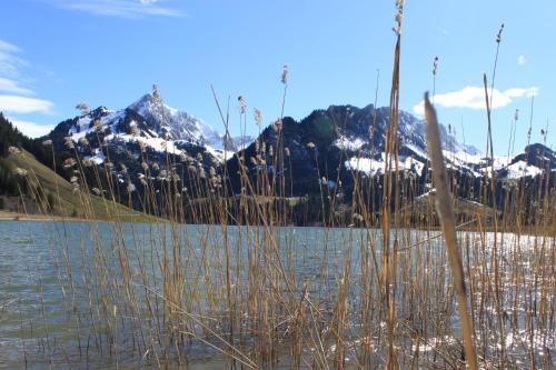a body of water with snow capped mountains in the background at Hostellerie am Schwarzsee in Bad-Schwarzsee