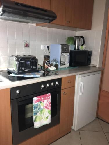a kitchen with a stove and a microwave at Orchidea Apartman in Hegykő